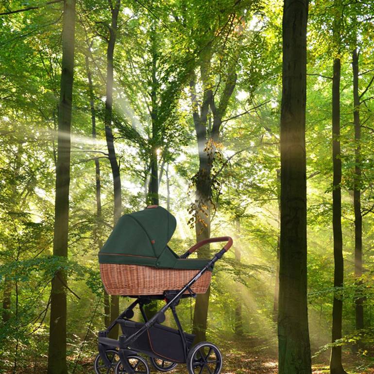 zielony wózek dziecięcy lonex eko-pro kolor-lasu forest  - sklep-dadi-shop-  na spacerze w lesie-z wózkiem